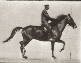 Plate 601 'Dusel' trotting, saddled — figure reference